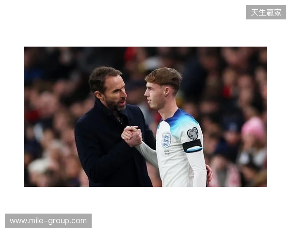 图赫尔谈10号位:一阶段考察帕尔默&福登;二阶段贝林&罗杰斯 图赫尔谈10号位:一阶段考察帕尔默&福登;二阶段贝林&罗杰斯